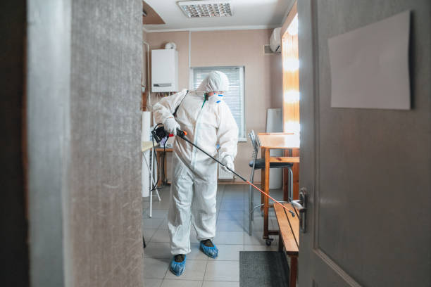 Best Post-Remediation Verification Testing  in Holbrook, AZ