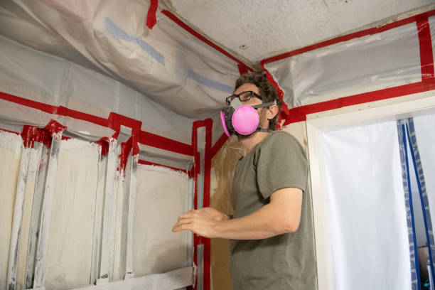 Best HVAC Mold Inspection and Cleaning  in Holbrook, AZ