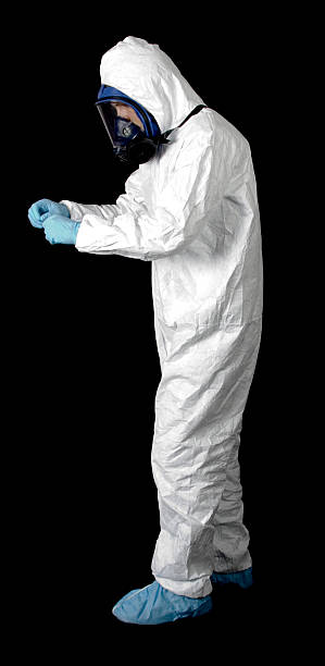 Best Mold Removal for HVAC Installations  in Holbrook, AZ